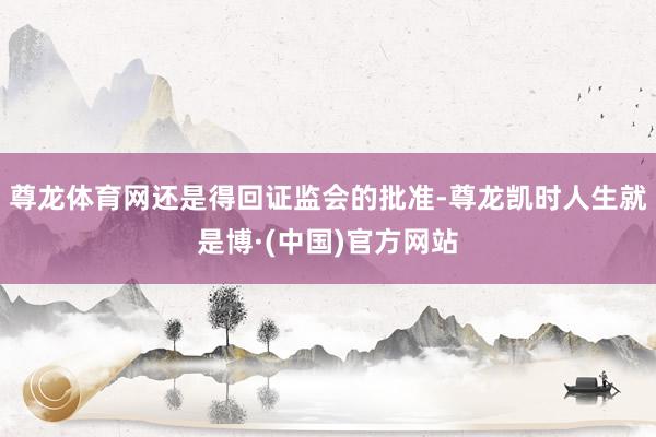 尊龙体育网还是得回证监会的批准-尊龙凯时人生就是博·(中国)官方网站