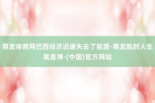 尊龙体育网巴西经济迟缓失去了能源-尊龙凯时人生就是博·(中国)官方网站