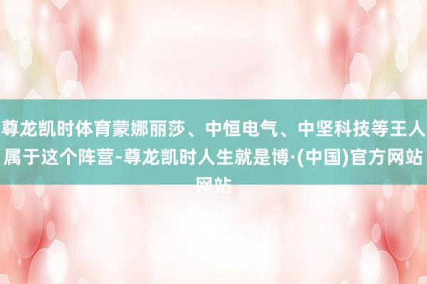 尊龙凯时体育蒙娜丽莎、中恒电气、中坚科技等王人属于这个阵营-尊龙凯时人生就是博·(中国)官方网站