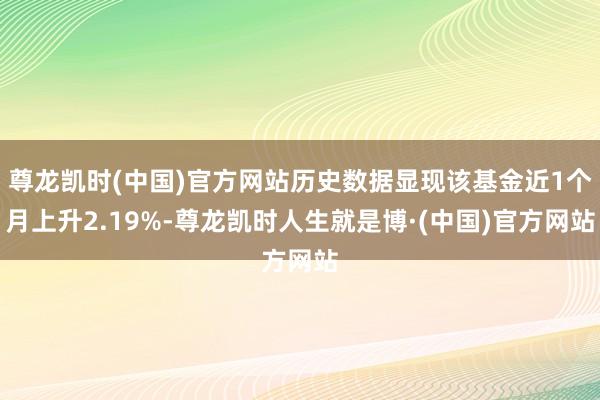 尊龙凯时(中国)官方网站历史数据显现该基金近1个月上升2.19%-尊龙凯时人生就是博·(中国)官方网站
