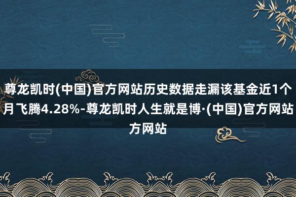 尊龙凯时(中国)官方网站历史数据走漏该基金近1个月飞腾4.28%-尊龙凯时人生就是博·(中国)官方网站