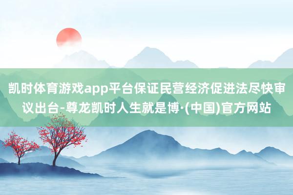 凯时体育游戏app平台保证民营经济促进法尽快审议出台-尊龙凯时人生就是博·(中国)官方网站