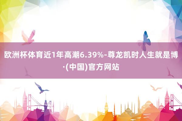 欧洲杯体育近1年高潮6.39%-尊龙凯时人生就是博·(中国)官方网站