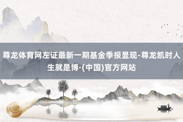 尊龙体育网左证最新一期基金季报显现-尊龙凯时人生就是博·(中国)官方网站