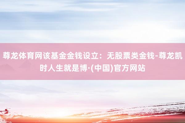 尊龙体育网该基金金钱设立：无股票类金钱-尊龙凯时人生就是博·(中国)官方网站