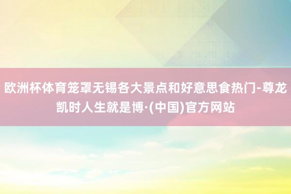 欧洲杯体育笼罩无锡各大景点和好意思食热门-尊龙凯时人生就是博·(中国)官方网站