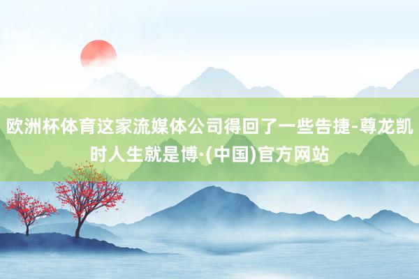 欧洲杯体育这家流媒体公司得回了一些告捷-尊龙凯时人生就是博·(中国)官方网站