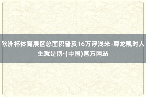 欧洲杯体育展区总面积普及16万浮浅米-尊龙凯时人生就是博·(中国)官方网站