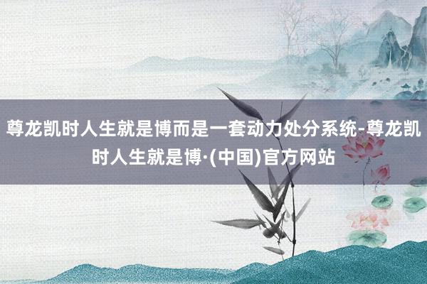 尊龙凯时人生就是博而是一套动力处分系统-尊龙凯时人生就是博·(中国)官方网站