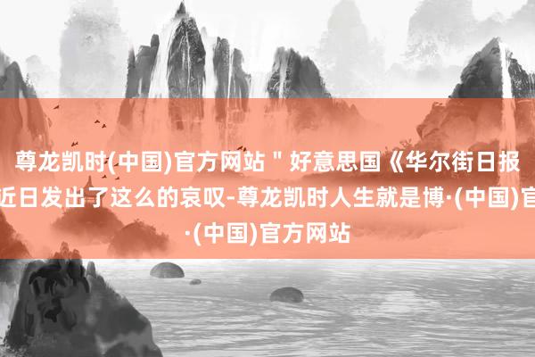 尊龙凯时(中国)官方网站＂好意思国《华尔街日报》著述近日发出了这么的哀叹-尊龙凯时人生就是博·(中国)官方网站