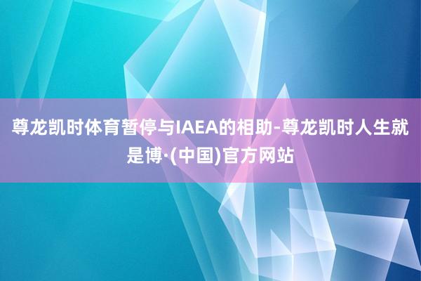 尊龙凯时体育暂停与IAEA的相助-尊龙凯时人生就是博·(中国)官方网站